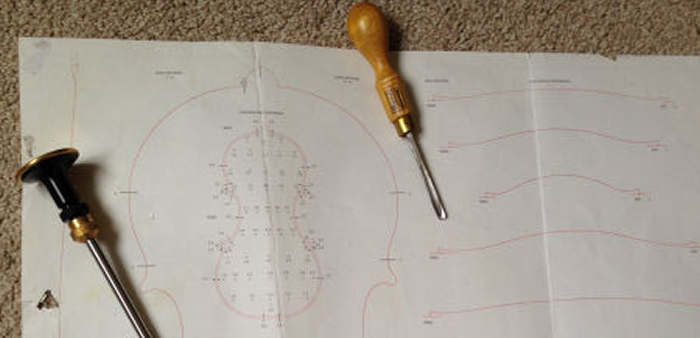 Polygonica - Paper Viola Plans Polygonica - Paper Viola Plans