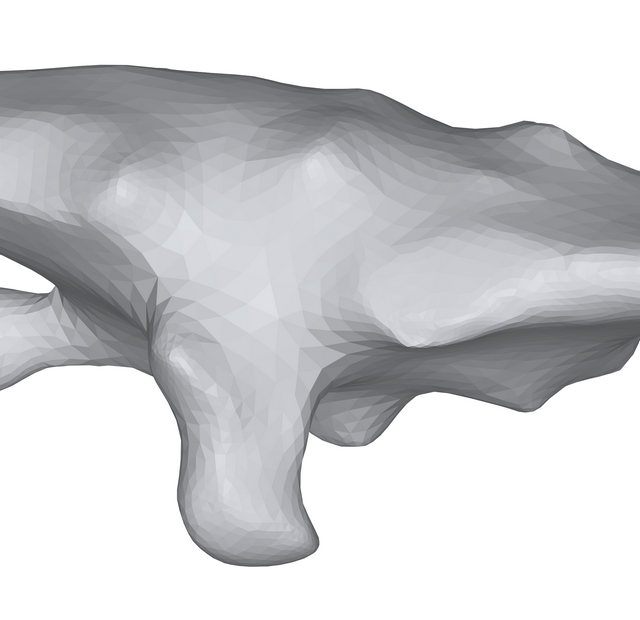 The bones have been joined by a smooth shrinkwrap which is only shallowly concave.