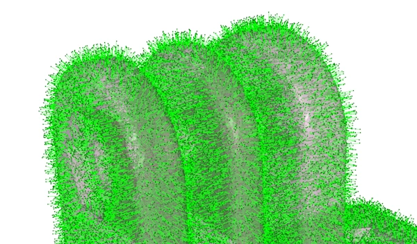 A 3D mesh model covered in green arrows of different lengths and directions, illustrating a noisy vector field representing a deformation